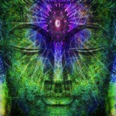 115824269 3493672794010331 2677095557434769430 n