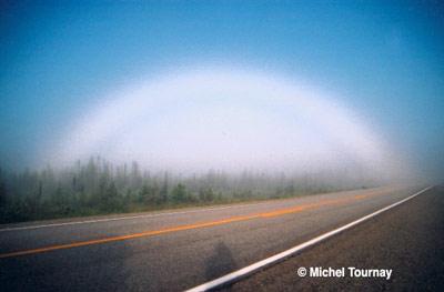 Fogbow